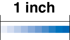 Image Resolution - 5DPI